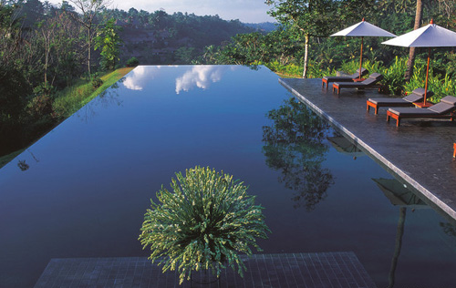 Bể bơi Alila Ubud, Bali, tại Indonesia